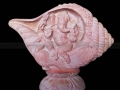 Pnk_sft_108